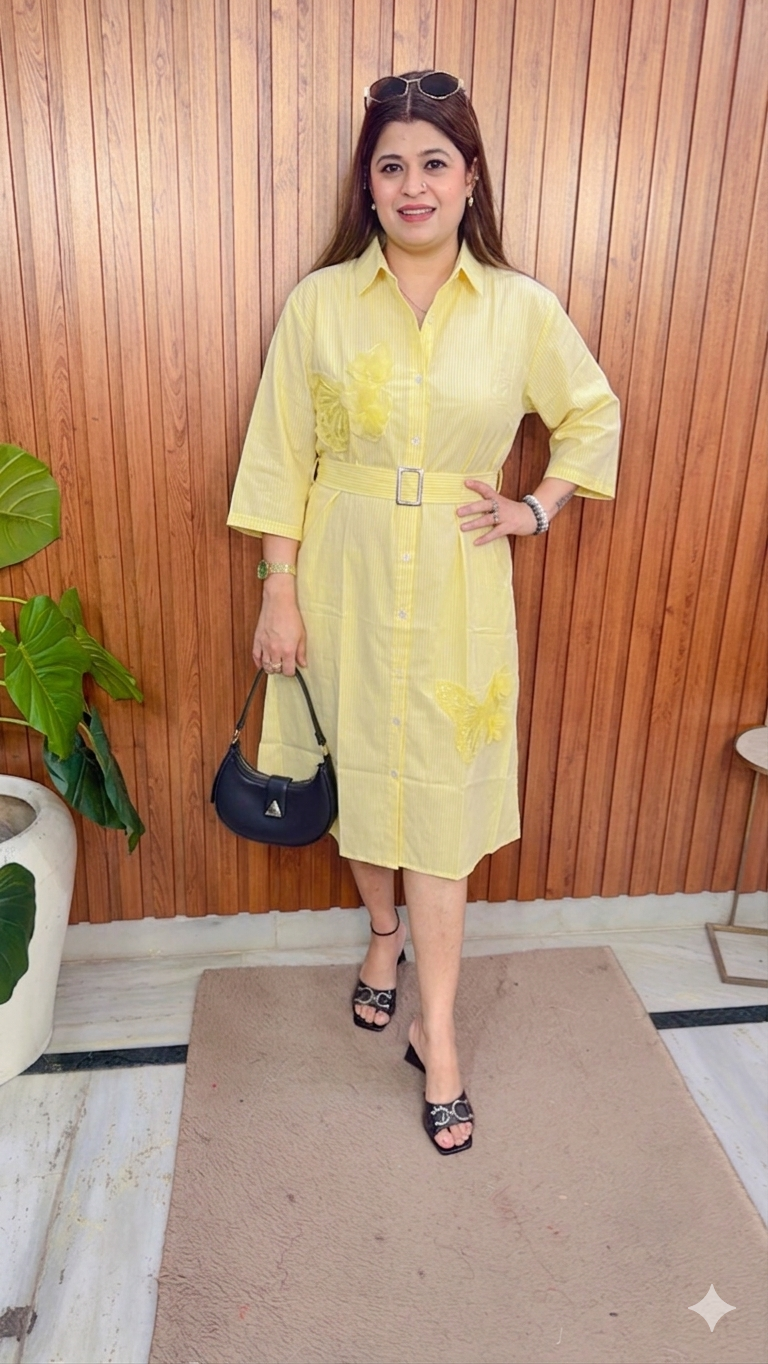 Stripes shirt Dress with emblished butterfly