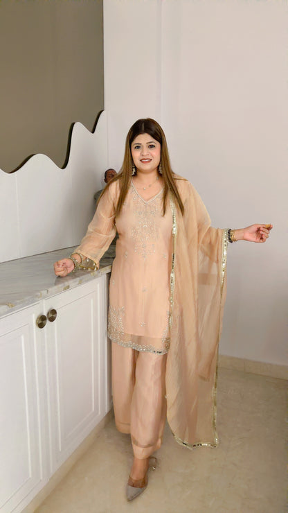 Party wear three piece suit set