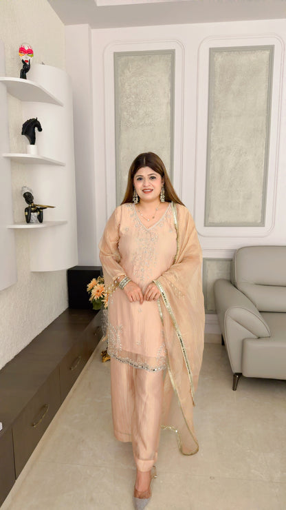 Party wear three piece suit set