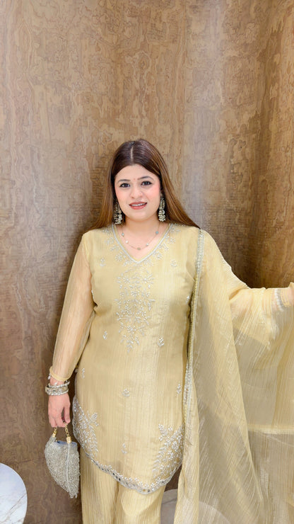 Party wear three piece suit set