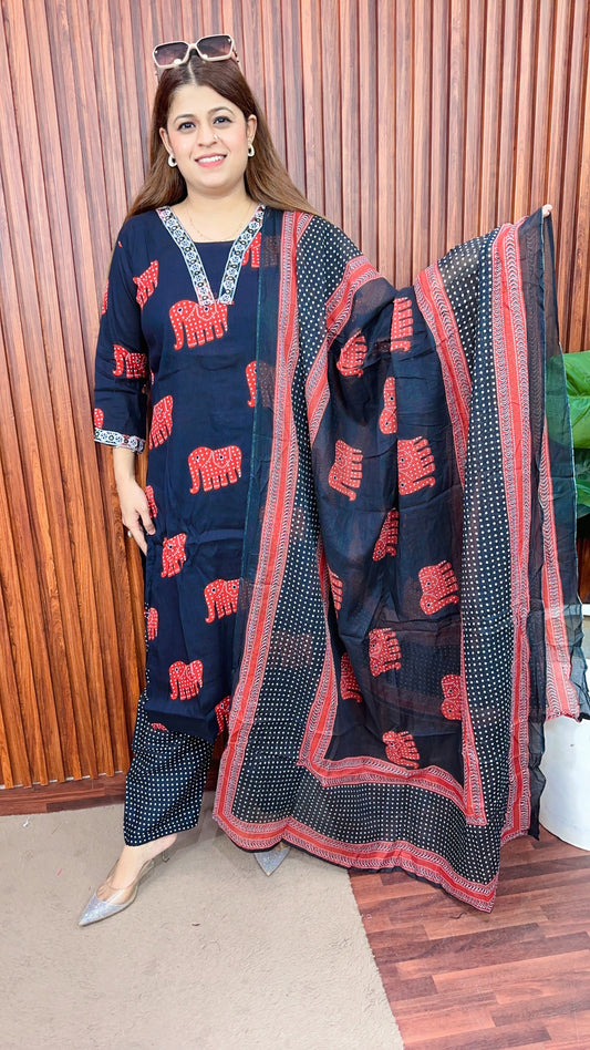 Mirror work Elephant cotton suit set