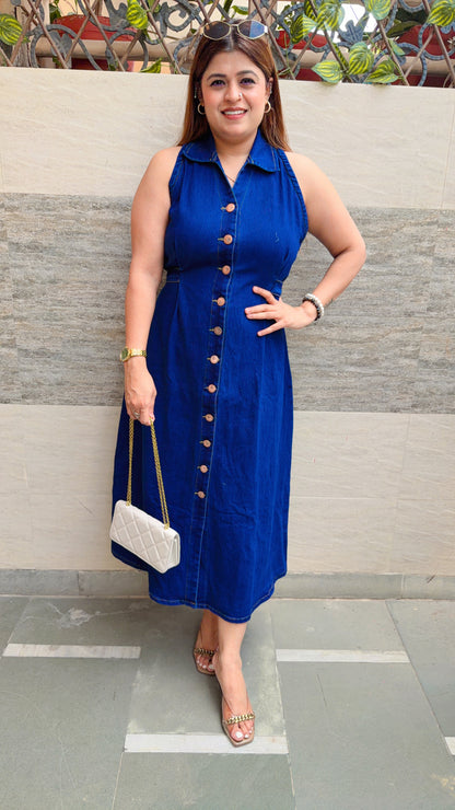 Berry Denim A-Line Dress
