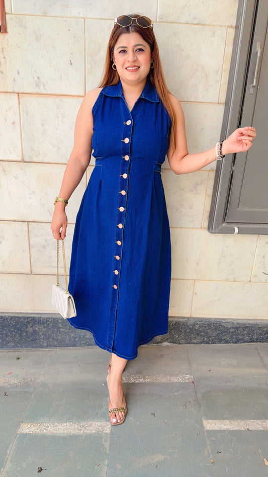 Berry Denim A-Line Dress