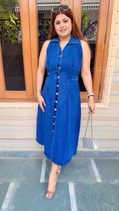 Berry Denim A-Line Dress