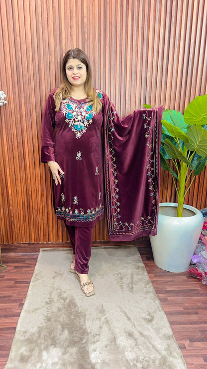 Kashmiri multi Thread work velvet suit